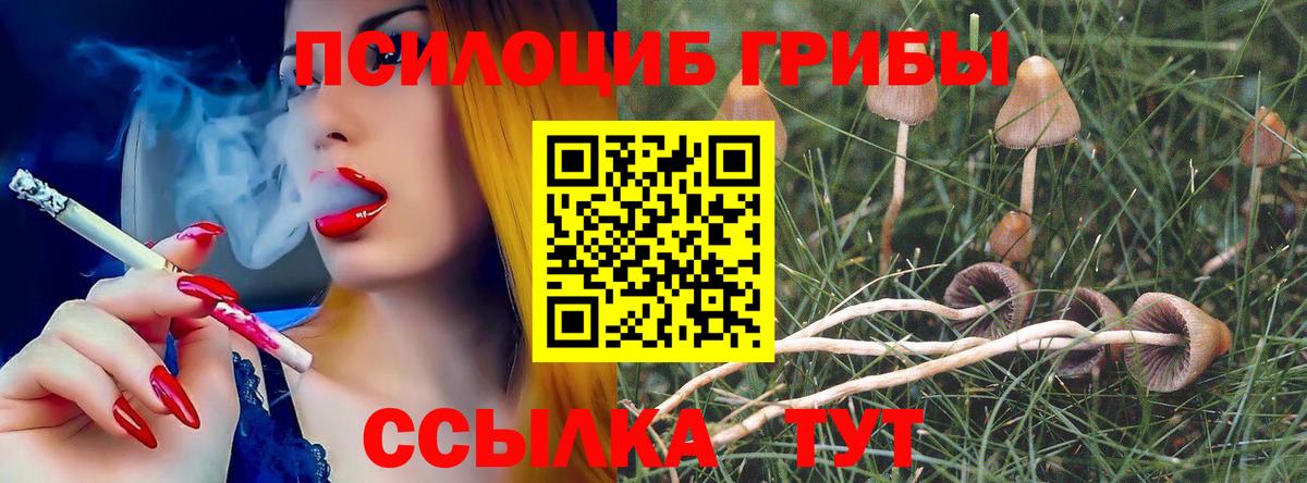 Галлюциногенные грибы прущие грибы Ижевск