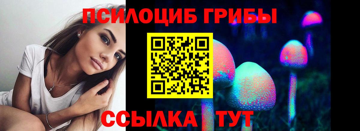 Ижевск  Галлюциногенные грибы Psilocybe  Вход с VPN 